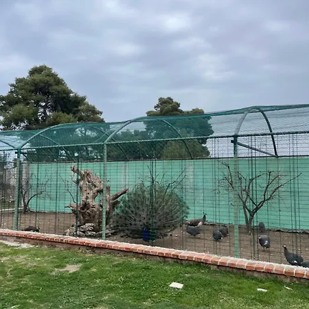Agroturizem Eldi פייר