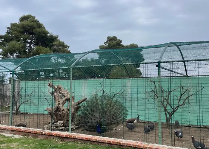 Agroturizem Eldi Fier