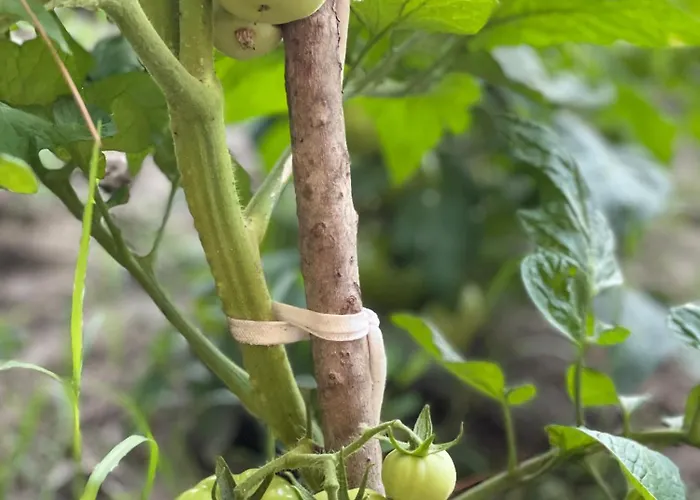 Otel Agroturizem Eldi Fier