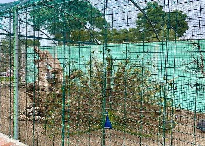 Agroturizem Eldi Fier