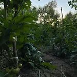 Hotel Agroturizem Eldi Fier