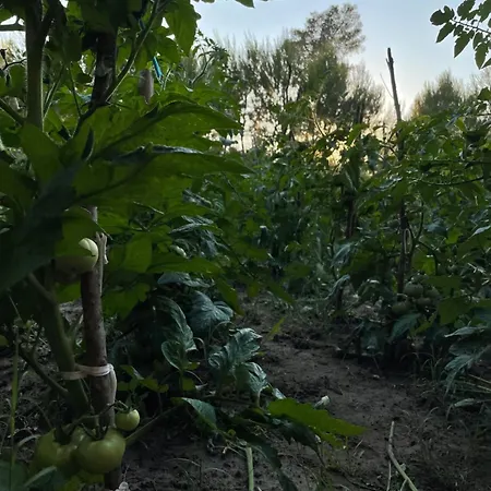 Hotel Agroturizem Eldi Fier