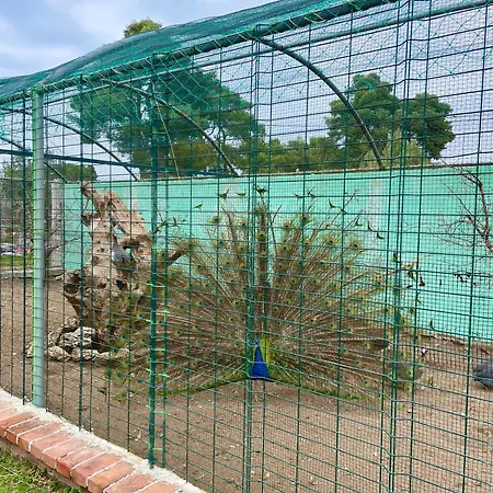 Agroturizem Eldi Fier