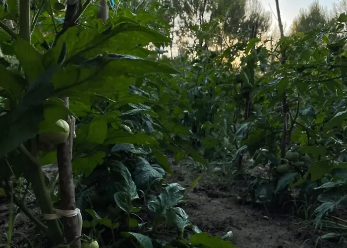 Hotel Agroturizem Eldi Fier